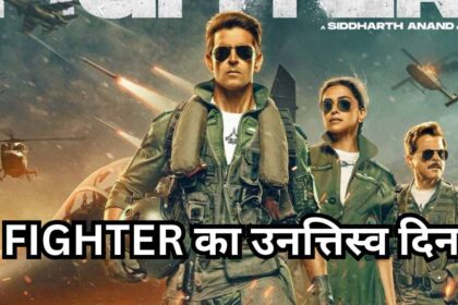 fighter box office collection day 29
